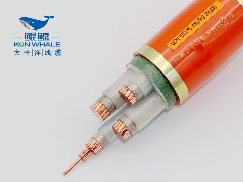 電線電纜廠家淺談什么叫BTTRZ電纜YTTW電纜型號(hào)是什么？